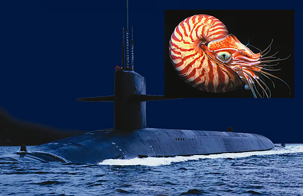 submarine - Nautilus