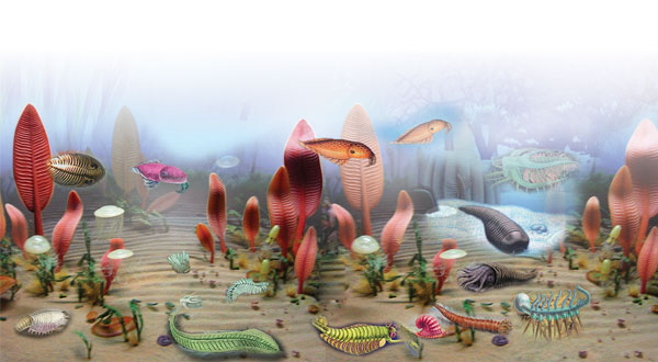 cambrian period