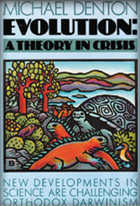 theory_in_crisis