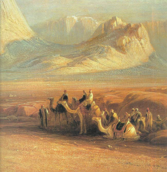 camel caravan 2