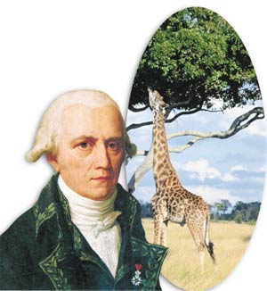 Le biologiste français Lamarck, les girafes