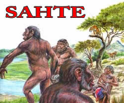 neandertal sahte